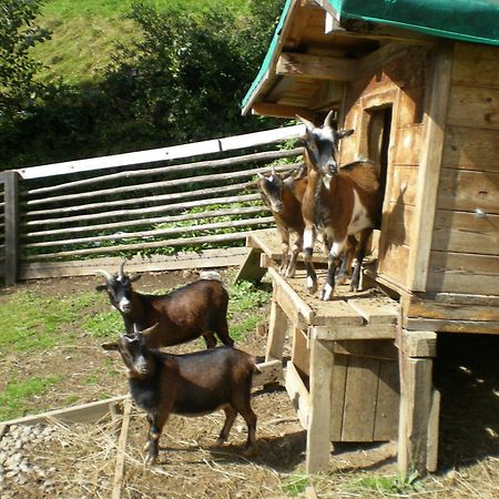 Jugend- Und Familienhotel Venedigerhof Neukirchen am Großvenediger Eksteriør bilde